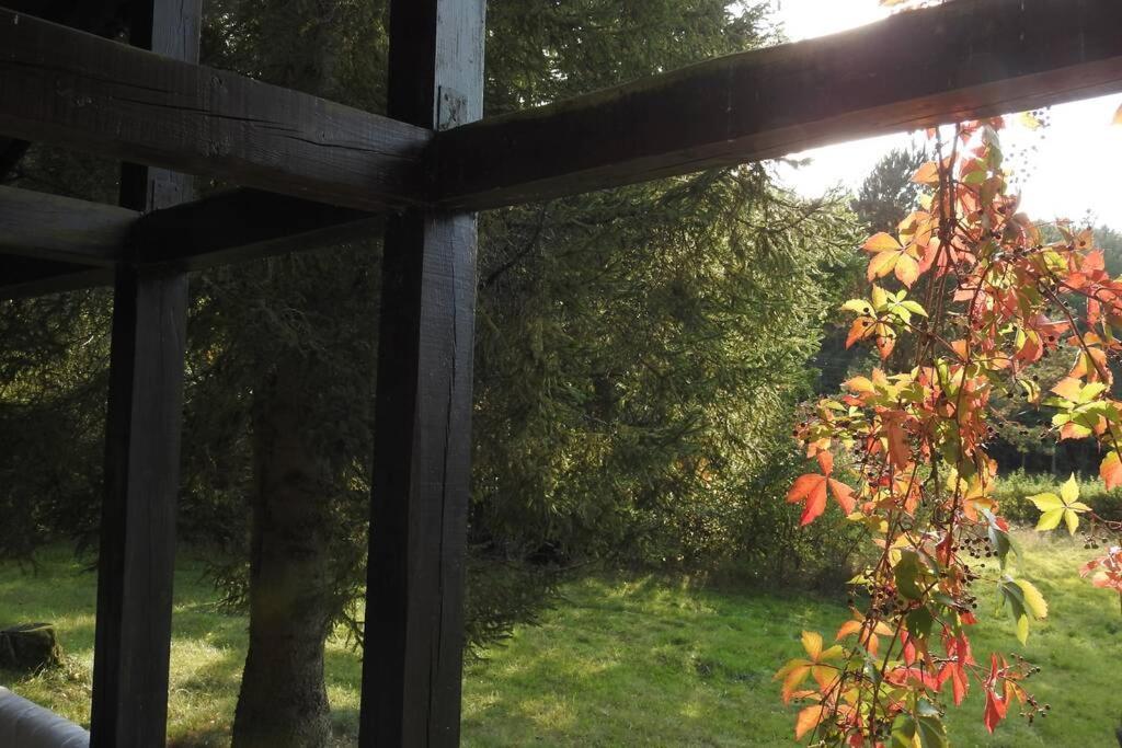 Modrzewiowy Domek Letniskowy - Stare Czaple Brodnica  Dış mekan fotoğraf